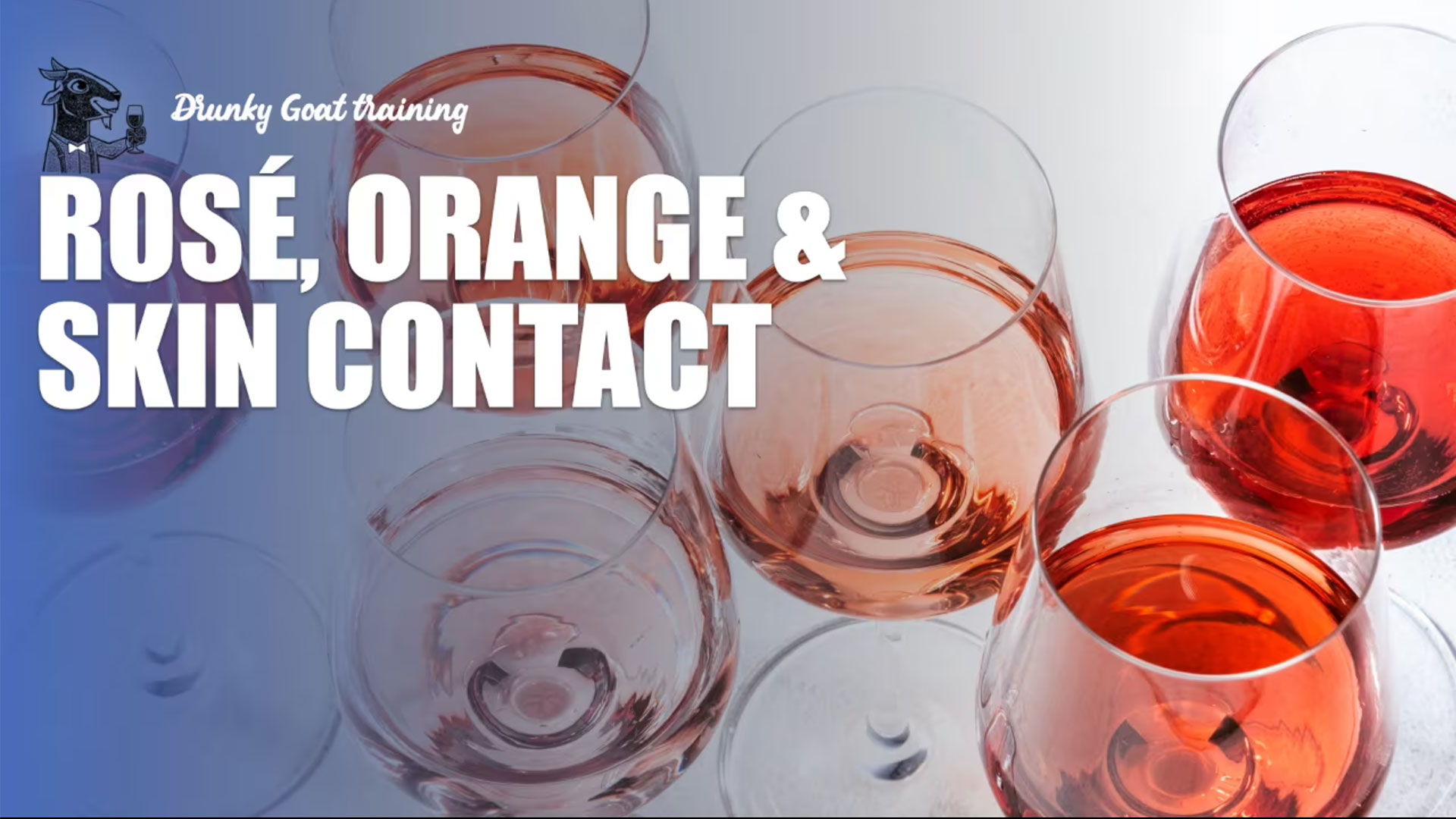 3. Rose, Orange & Skin Contact