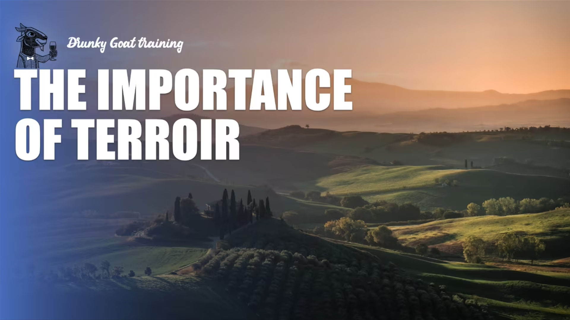4. The Importance Of Terroir
