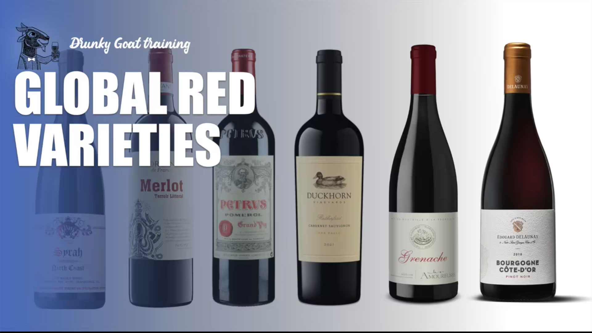 4. Global Red Wines