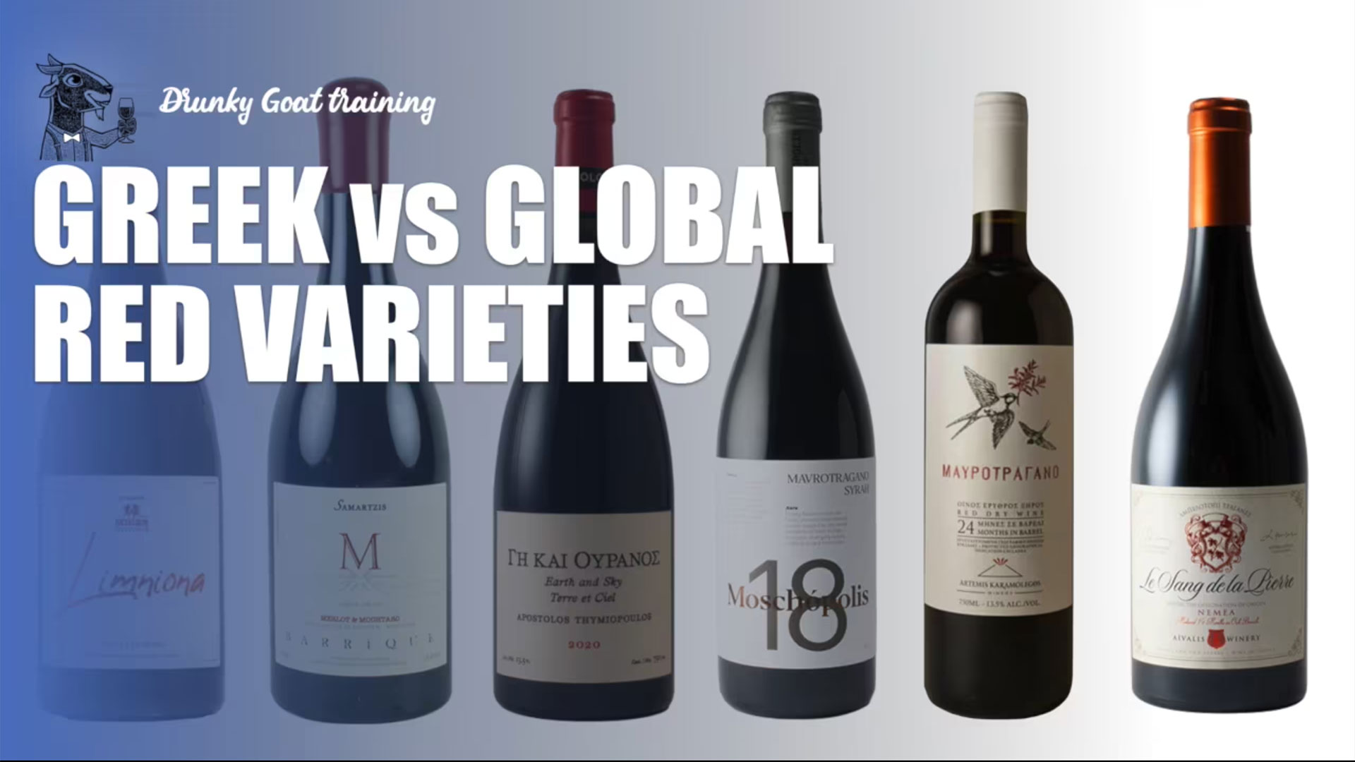 5. Greek vs Global Reds